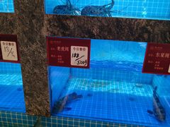 -潮州府·潮菜·砂锅粥(徐家汇店)