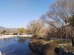 -北京西山国家森林公园