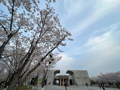 -龙美术馆(西岸馆)