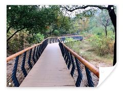 -白水寺森林公园