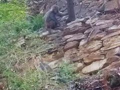 -北京上方山国家森林公园