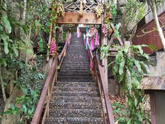 -西双版纳原始森林公园