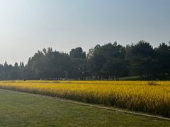 -北坞公园