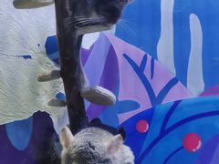 -海合安青岛极地海洋公园