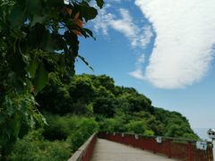 -鄱阳湖国家湿地公园