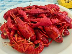 -虾皇(龙虾城旗舰店)