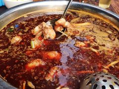 火锅兔-中和远东火锅兔(老店)