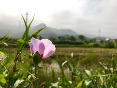 -小格里自然风景区