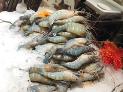 -加餐海鲜自助(宝龙一城店)