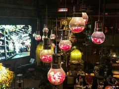 -胡桃里音乐酒馆(曲江店)