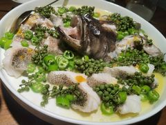 青青椒麻龙胆鱼-CHIC1699远洋私厨