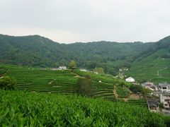 -龙井村