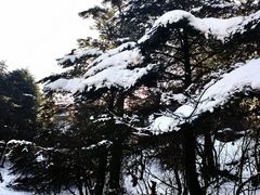 -峨眉山风景名胜区