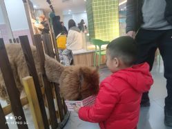-Moni星球萌宠·小马宝莉·灵蛇·高端高阶全萌宠互动体验俱乐部(红豆国际广场店)