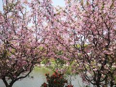 -花溪公园
