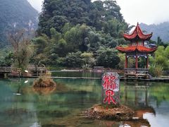 -靖西鹅泉风景区