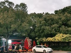 -共青国家森林公园-售票处