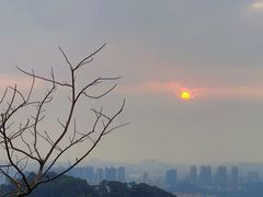 -凌舍好烧鹅(中山路店)