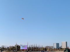 -澹台湖公园