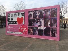 -汇金缪斯影城(八佰伴店)