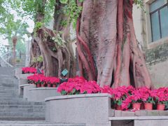 -龙环葡韵住宅式博物馆