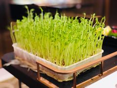 -捞神汤物料理(正大广场店)