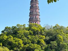 -顺峰山公园