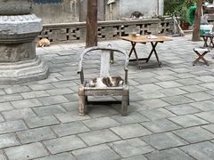 -四门塔风景区