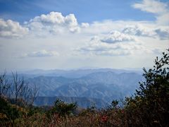 -王顺山国家森林公园