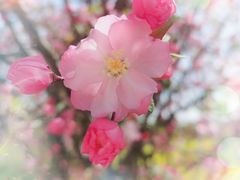 -九里河湿地公园