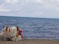 -青海湖国家重点风景名胜区