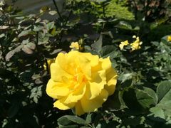 -人民公园(罗湖区)