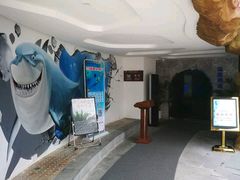 -瑞德姆美人鱼海底演艺主题餐厅(亚龙湾店)