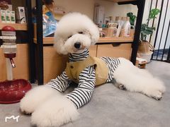 -小尾巴宠物店(万科·金域华庭店)