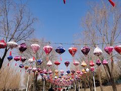 -青龙湖公园