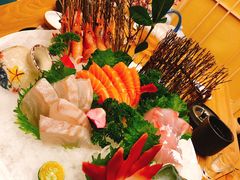 -一本钓鲔鱼屋