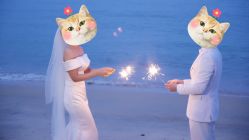 -金夫人婚纱摄影(华南店)