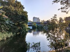 -荔湾湖公园