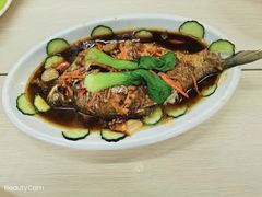 -大班家政月嫂育儿嫂(广州NO.1店)