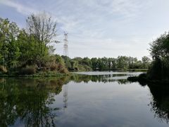 -桤木河湿地公园