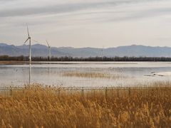-野鸭湖国家湿地公园