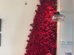 -22ºN BISTRO西餐&酒馆