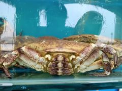 -港畔赶海蒸汽海鲜烧烤自助(仙螺岛店)