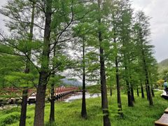 -广州市石门国家森林公园