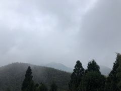 -长沙黑麋峰国家森林公园