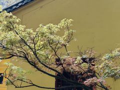 -雁荡山风景名胜区