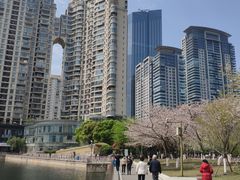 -西北湖绿化广场