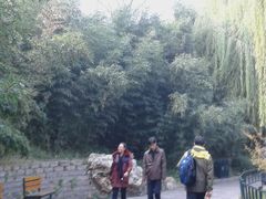 -紫竹院公园冰场