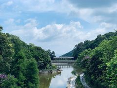 -广州市帽峰山景区