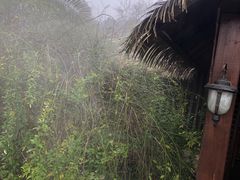 -咸宁万豪温泉谷度假区